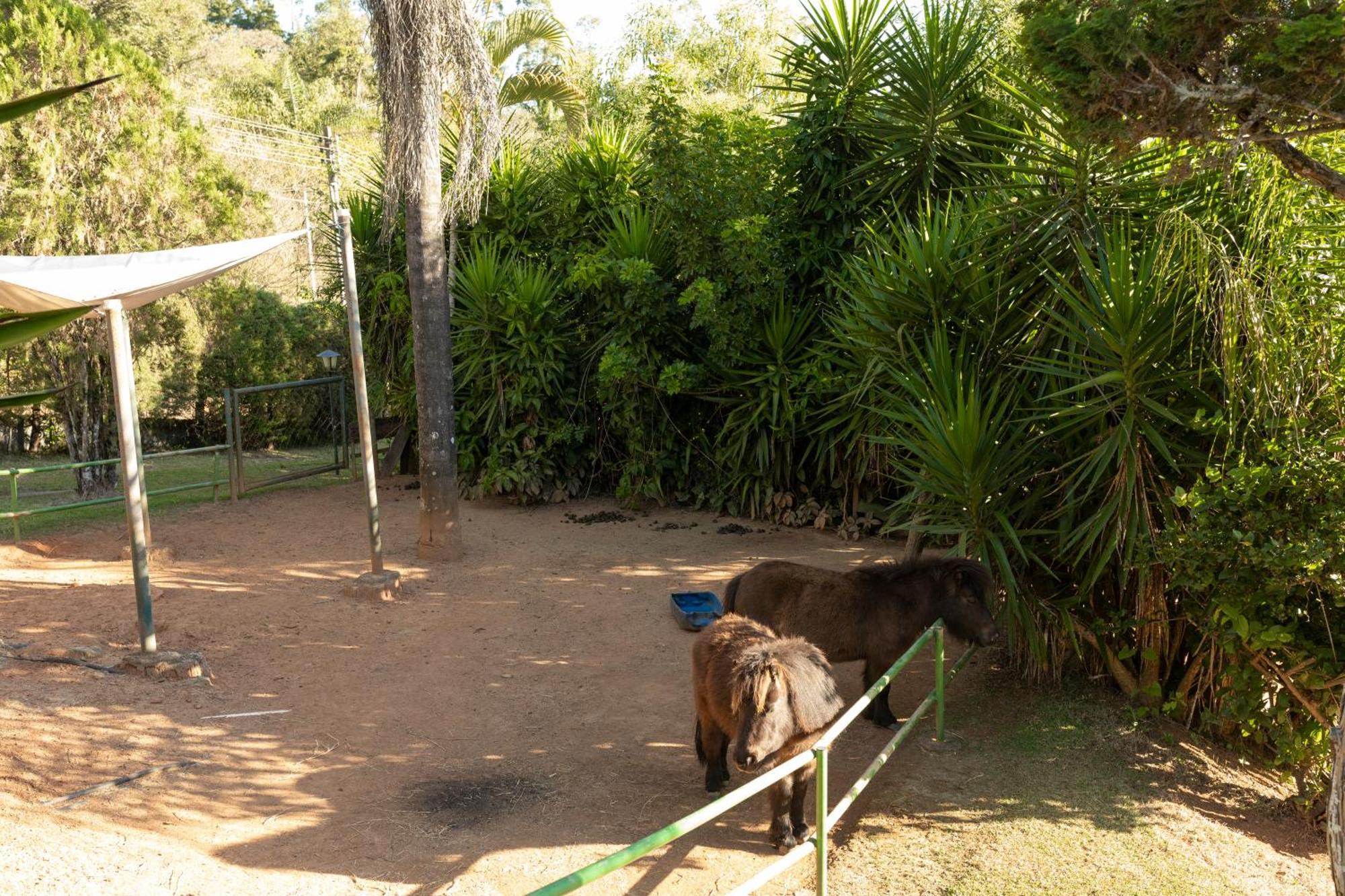 Recanto Maria Bonita Hotel Socorro (Sao Paulo)